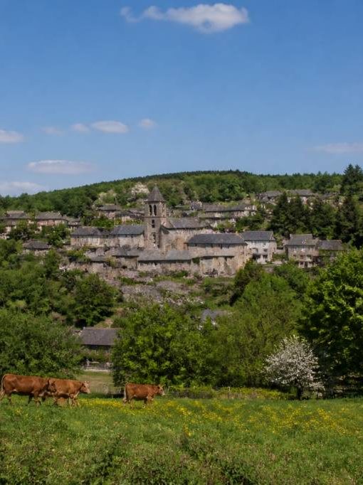 19/20 limousin : tout savoir sur l’actualité régionale et ses enjeux