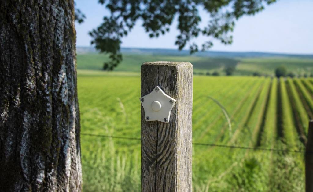 19/20 champagne ardenne : tout savoir sur ce repère régional