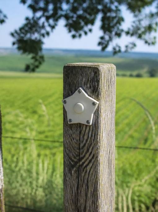 19/20 champagne ardenne : tout savoir sur ce repère régional