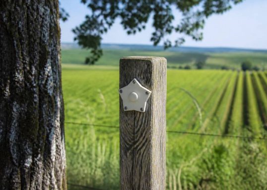 19/20 champagne ardenne : tout savoir sur ce repère régional