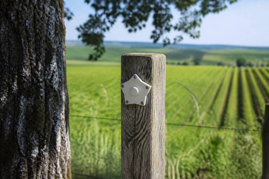 19/20 champagne ardenne : tout savoir sur ce repère régional