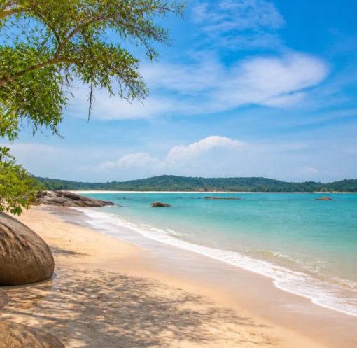 Bintan : que voir et que faire sur l’île indonésienne