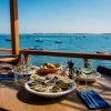 Bon restaurant Arcachon : nos meilleures adresses pour se régaler au bord du bassin